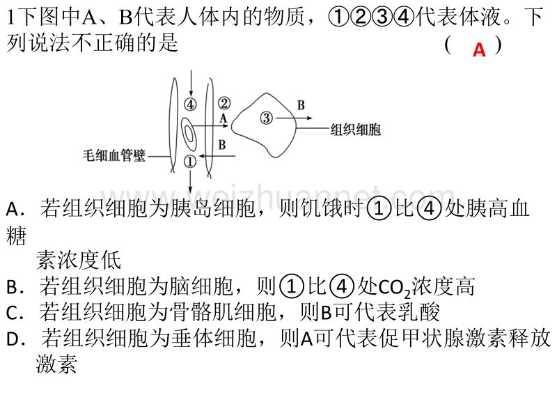 生命活动的调节练习.pptx_第1页