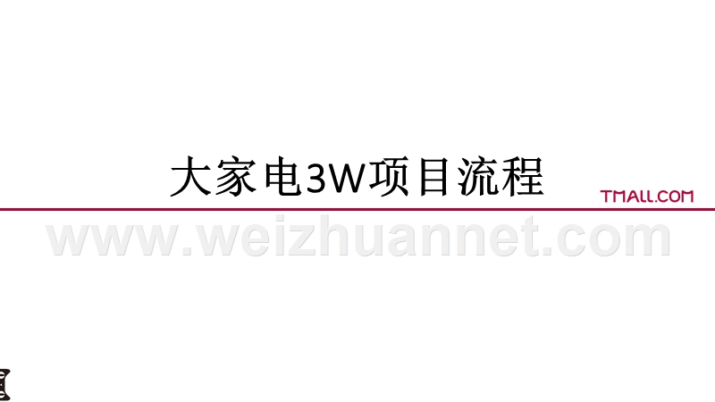 大家电3w项目流程.pptx_第1页