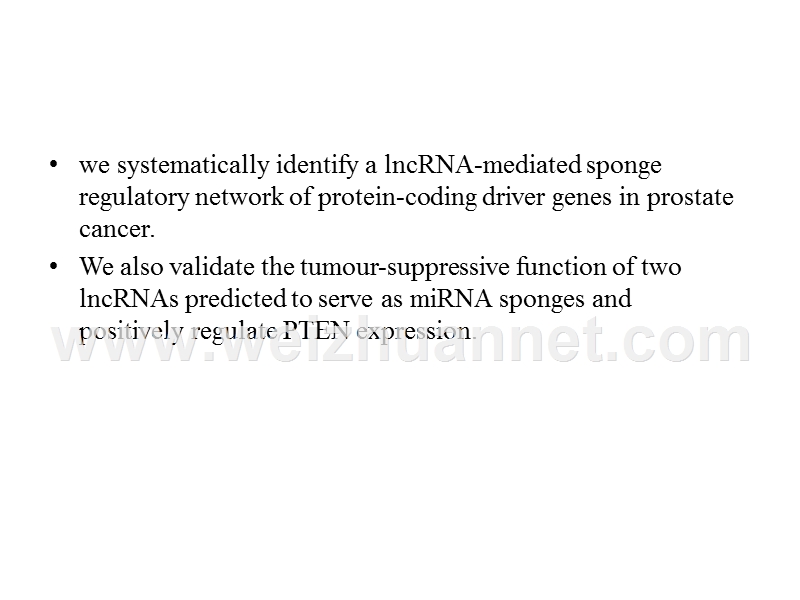 spongy-lncrna.ppt_第3页