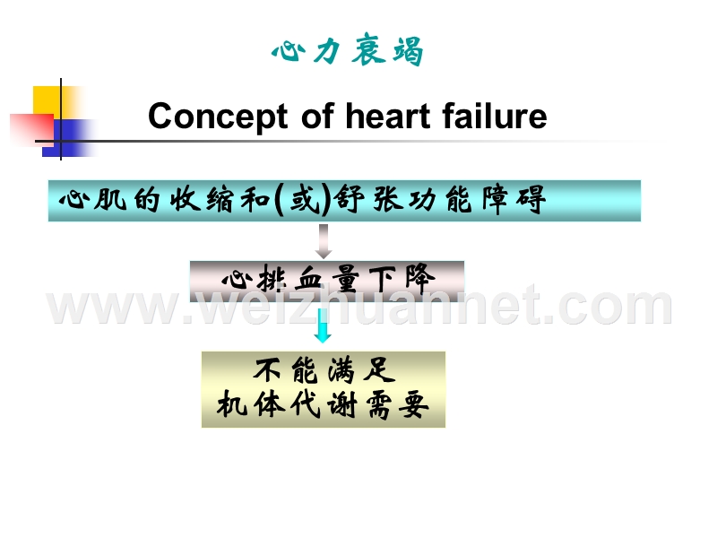 508心力衰竭.ppt_第3页