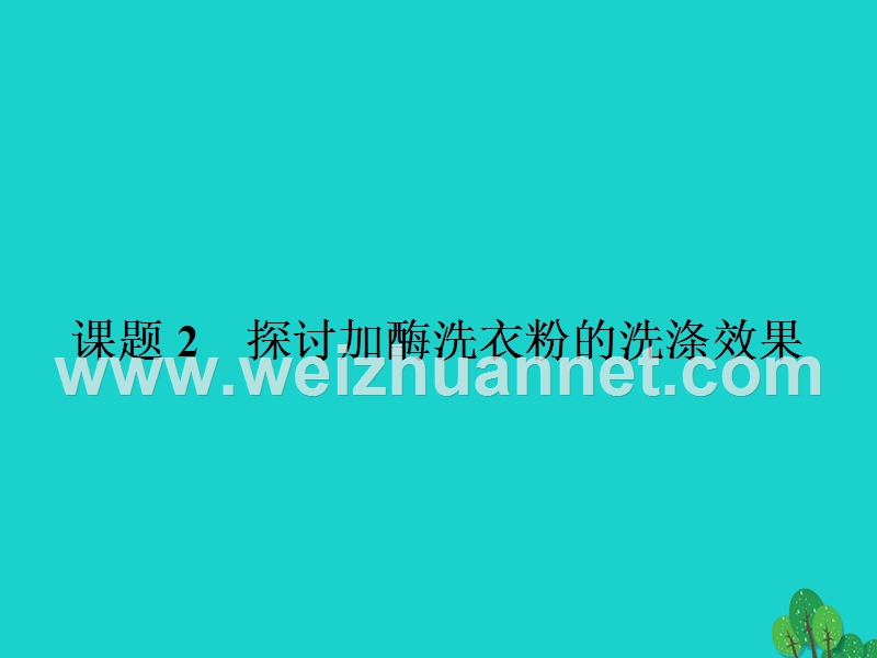 2017届高中生物专题4酶的研究与应用课题2探讨加酶洗衣粉的洗涤效果课件新人教版选修1.ppt_第1页