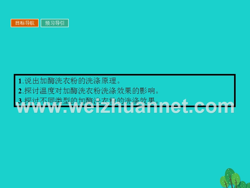 2017届高中生物专题4酶的研究与应用课题2探讨加酶洗衣粉的洗涤效果课件新人教版选修1.ppt_第2页