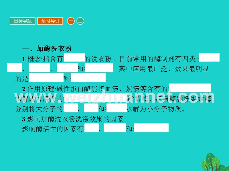 2017届高中生物专题4酶的研究与应用课题2探讨加酶洗衣粉的洗涤效果课件新人教版选修1.ppt_第3页