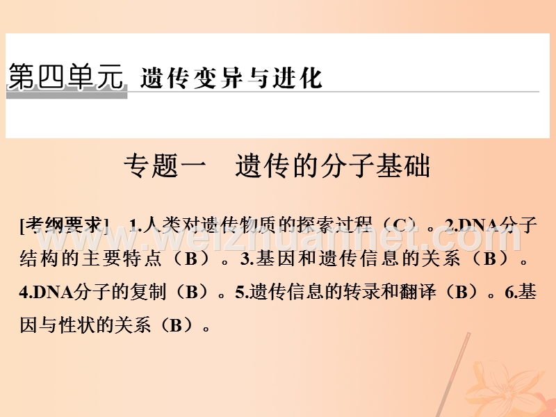 2017届高考生物二轮复习第四单元遗传变异与进化专题一遗传的分子基础课件.ppt_第1页