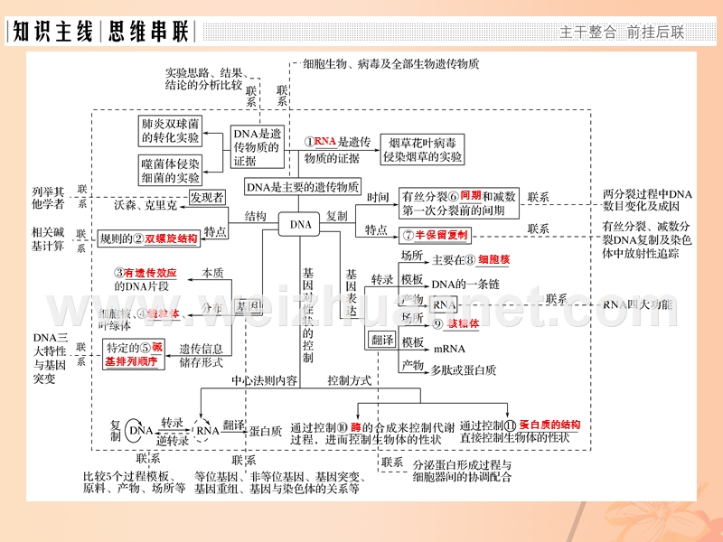 2017届高考生物二轮复习第四单元遗传变异与进化专题一遗传的分子基础课件.ppt_第2页