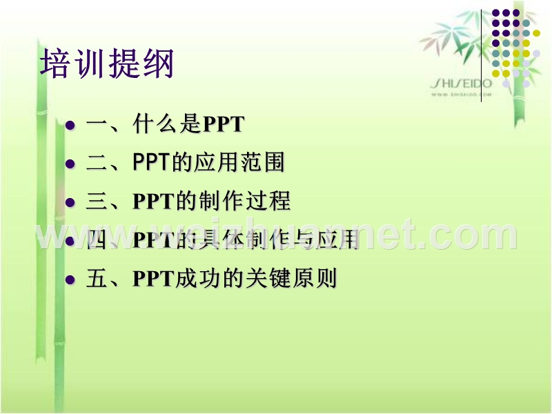 ppt培训课件.pptx_第2页