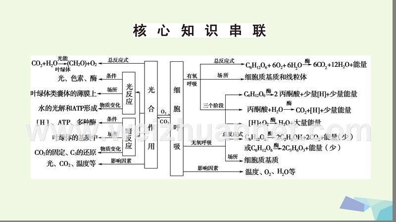 2017届高考生物二轮复习 第1部分 板块1 代谢 专题4 光合作用和细胞呼吸课件.ppt_第3页