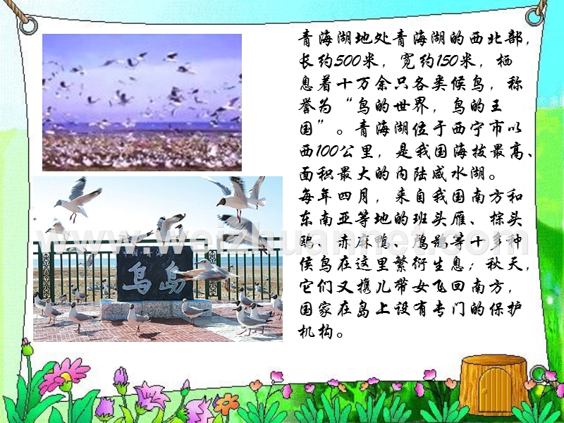 3课《青海湖-梦幻般的湖》.ppt_第3页