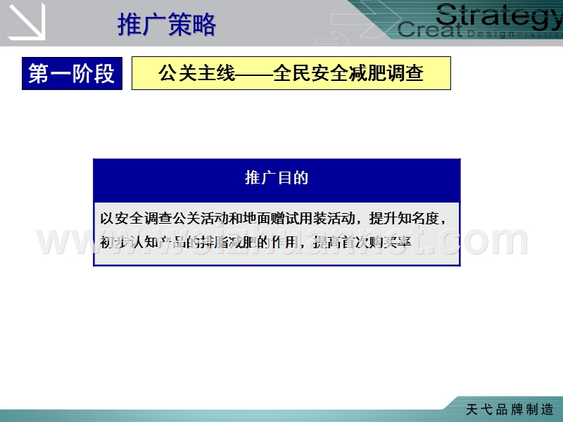 某减肥产品的营销计划.ppt_第3页