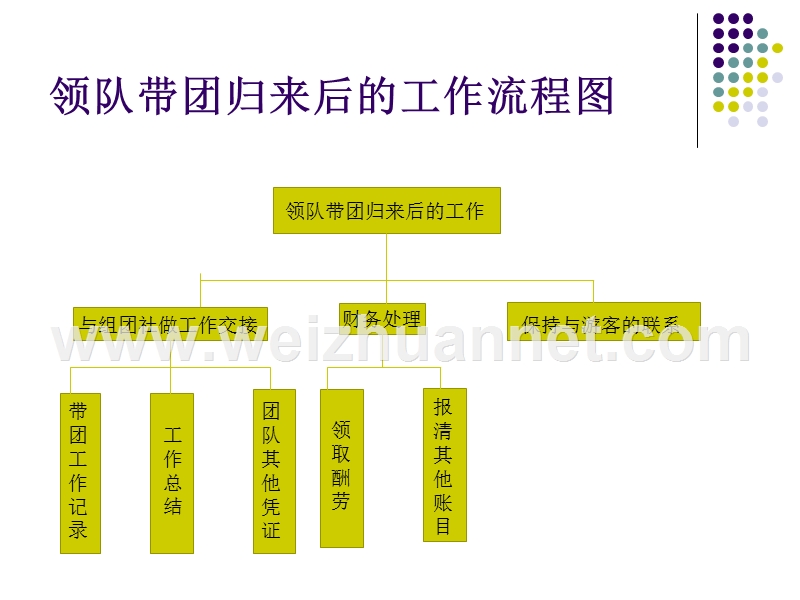 第九章-领队带队归来后的交接工作.ppt_第3页