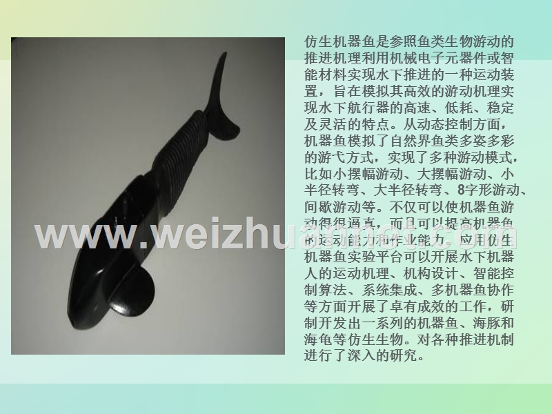 物理课前三分钟.ppt_第2页