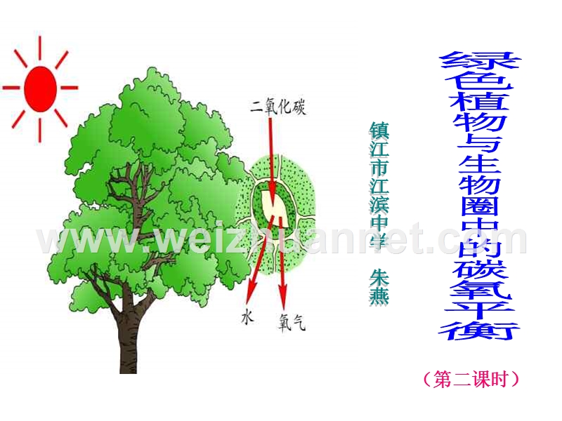 碳氧平衡.ppt_第1页