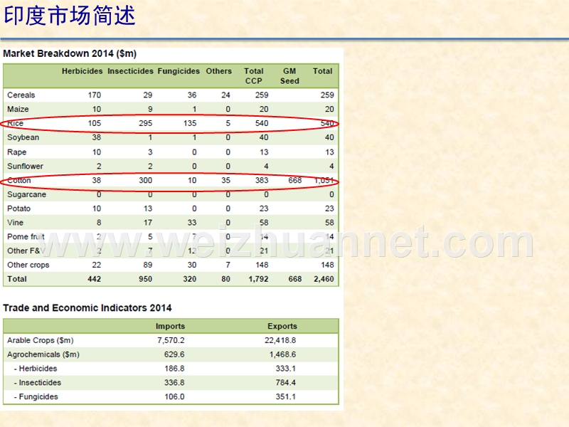 印度农药市场及登记要求概述201512.pptx_第3页