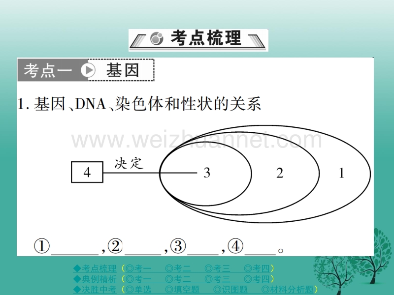 【巴蜀英才】2017春中考生物总复习 专题六 生物的生殖、发育与遗传 第3讲 生物的遗传和变异课件.ppt_第2页