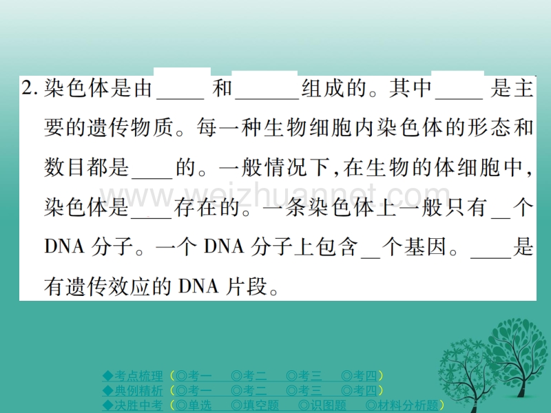 【巴蜀英才】2017春中考生物总复习 专题六 生物的生殖、发育与遗传 第3讲 生物的遗传和变异课件.ppt_第3页