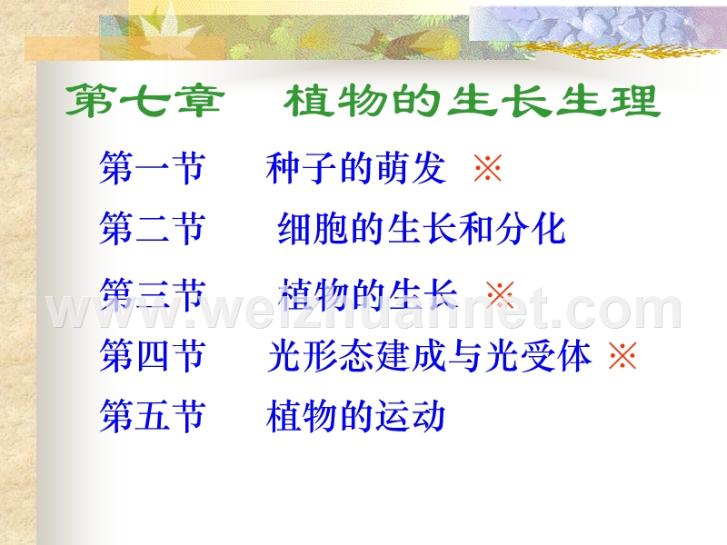 植物生理学教案--第七章生长生理.ppt_第2页