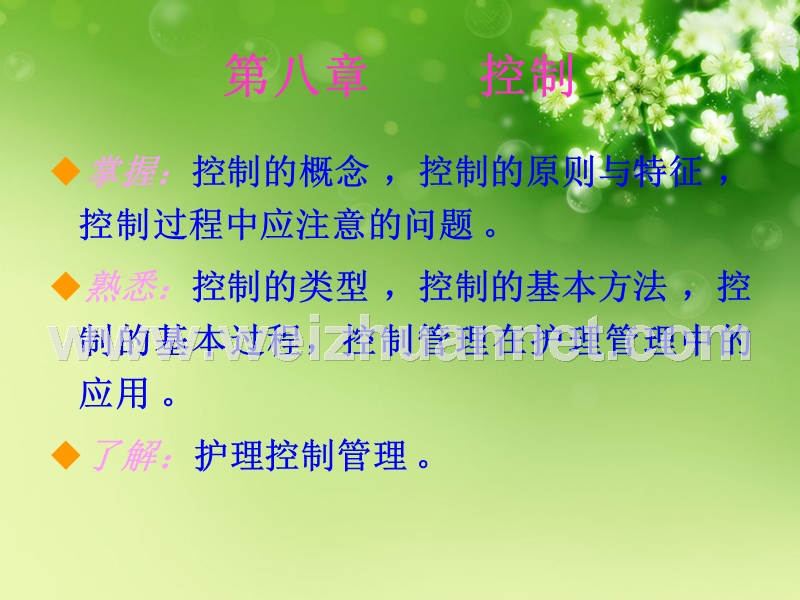 护理管理学-第八章-控制.ppt_第2页