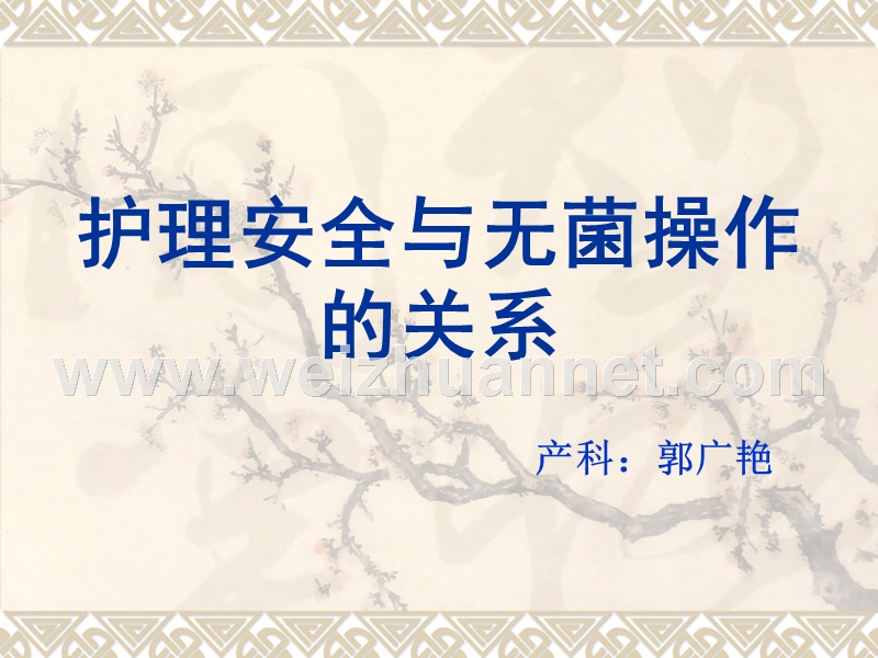 护理安全.ppt_第1页