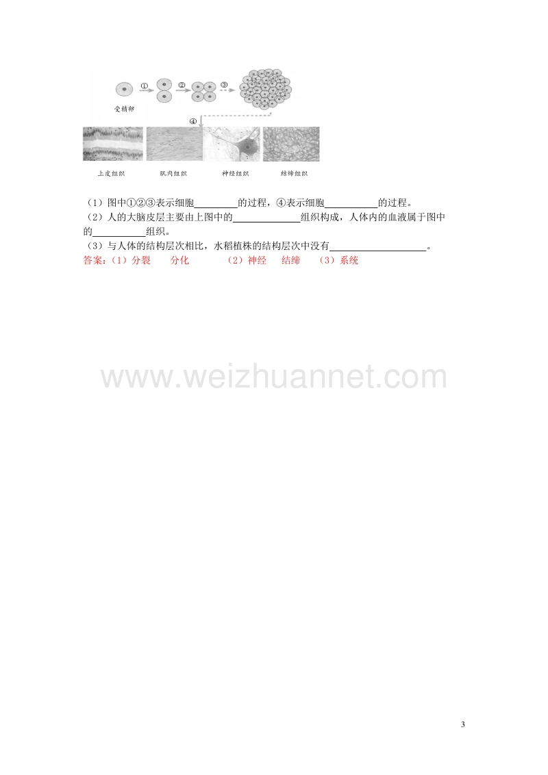 【掌控中考】（广西玉林）2017春中考生物试题汇编 动物体的结构层次.doc_第3页