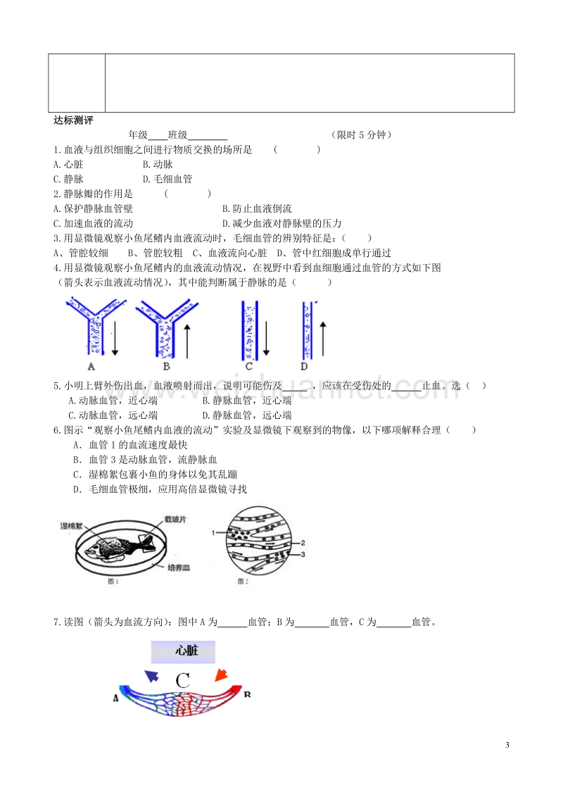 八年级生物上册 第四单元 第四章 第二节 物质运输的管道教学案（无答案） 鲁科版.doc_第3页