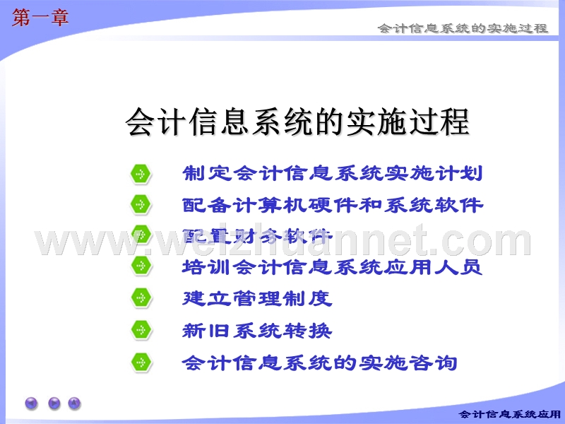 第一章-会计信息系统实施.ppt_第2页