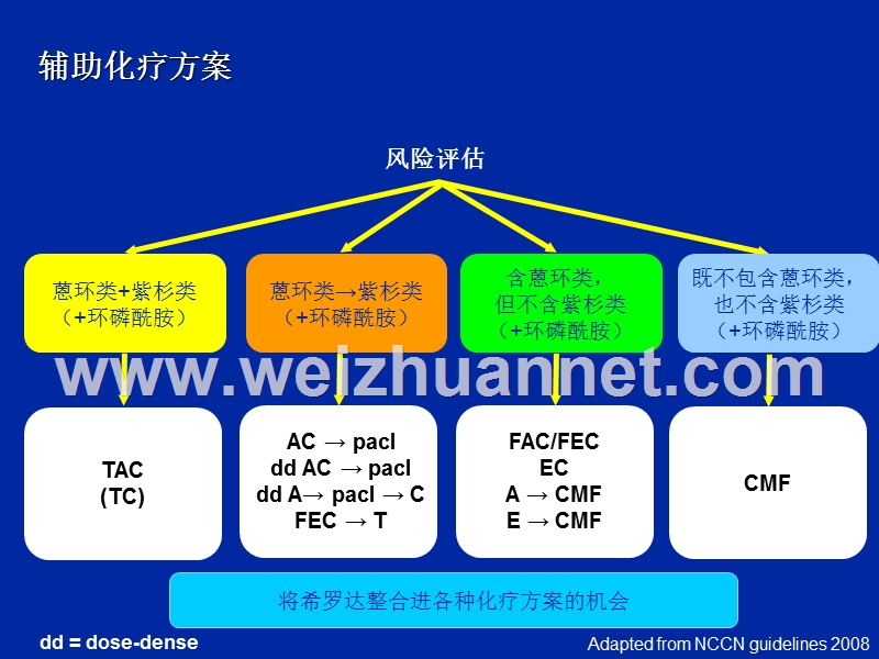 邵志敏-早期乳腺癌辅助治疗的新尝试-(5).ppt_第3页