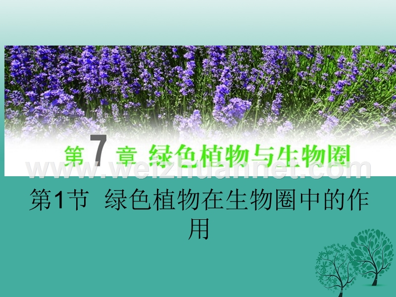 七年级生物上册 3.7.1 绿色植物在生物圈中的作用课件 北师大版.ppt_第1页