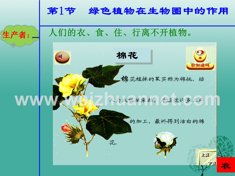 七年级生物上册 3.7.1 绿色植物在生物圈中的作用课件 北师大版.ppt_第2页