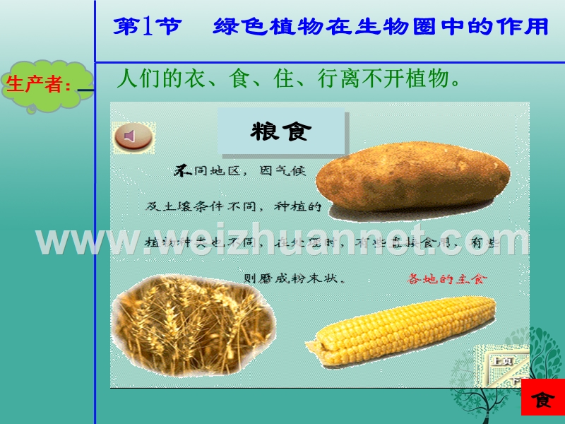 七年级生物上册 3.7.1 绿色植物在生物圈中的作用课件 北师大版.ppt_第3页