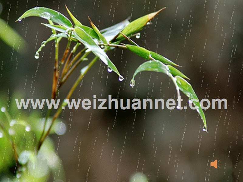 小班打击乐大雨和小雨.ppt_第3页