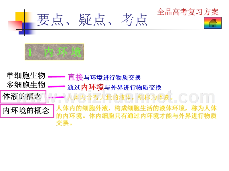 生物3.8内环境与稳态.pps_第2页