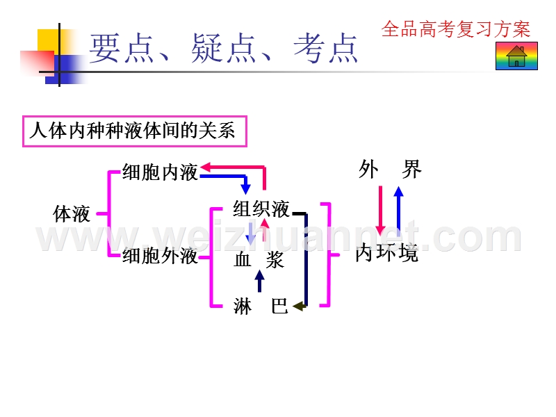 生物3.8内环境与稳态.pps_第3页