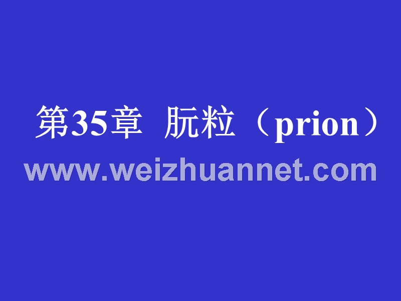 第三十二章-朊粒.ppt_第1页