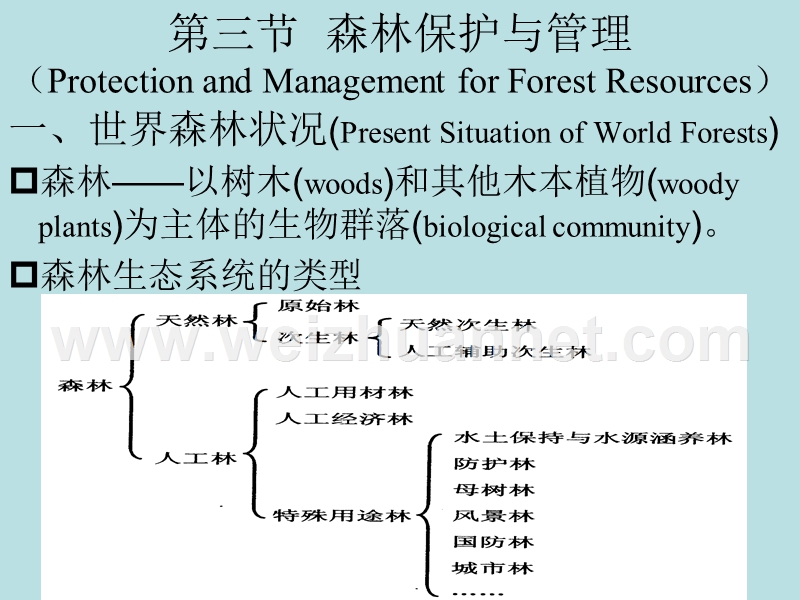 第十一章-自然资源保护与管理(下).ppt_第2页