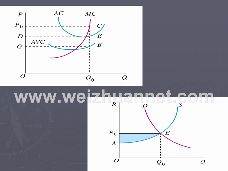 专题六--经济学中的公平和效率.ppt_第3页