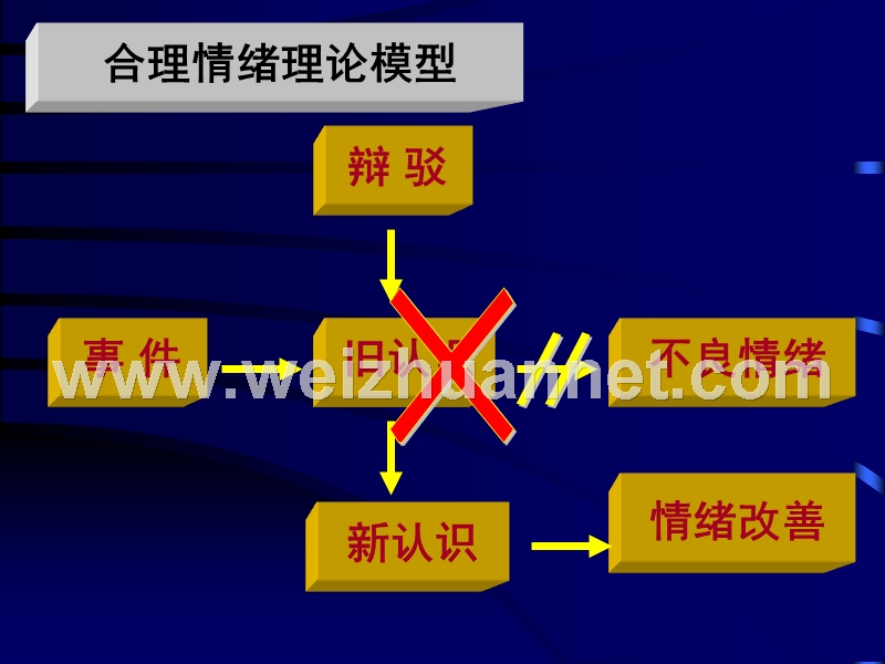 情绪与行为.ppt_第2页