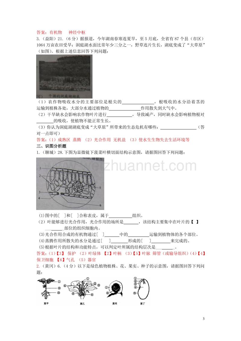 【掌控中考】（广西玉林）2017春中考生物试题汇编 植物的生长.doc_第3页