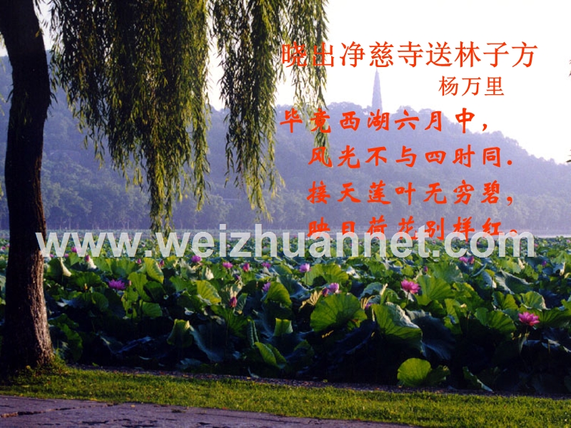 山东省淄博市周村区萌水中学九年级语文上册 20 西湖游记两则课件 鲁教版（五四学制）.ppt_第2页