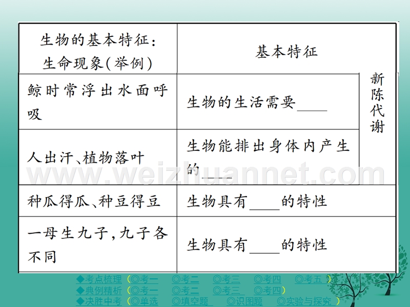 【巴蜀英才】2017春中考生物总复习 专题一 生物和生物圈课件.ppt_第3页