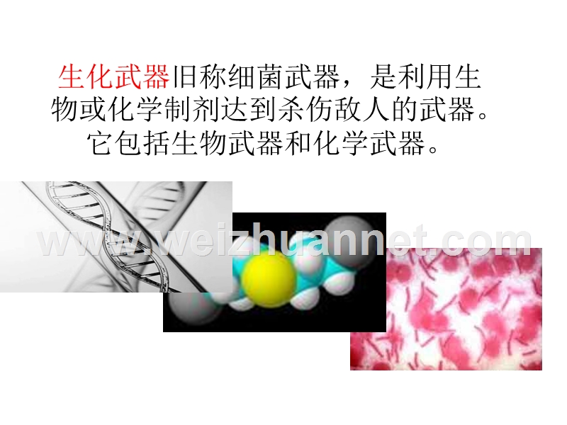 禁止生化武器.ppt_第3页