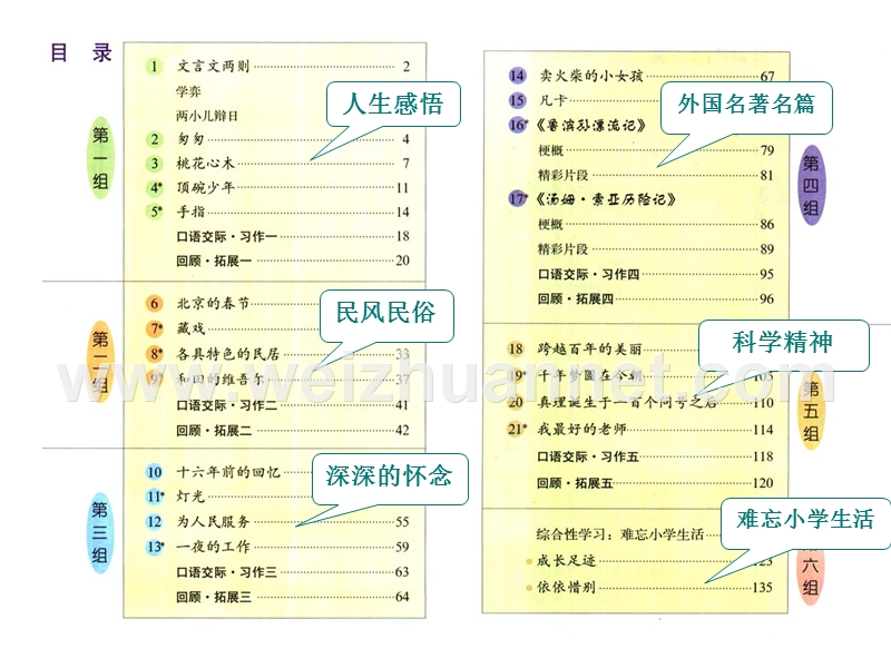 小语12册教材培训.ppt_第3页