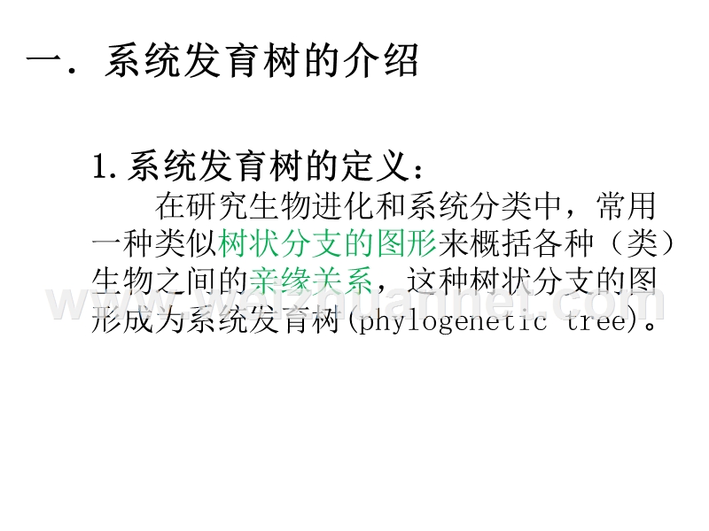 系统发育树.ppt_第3页