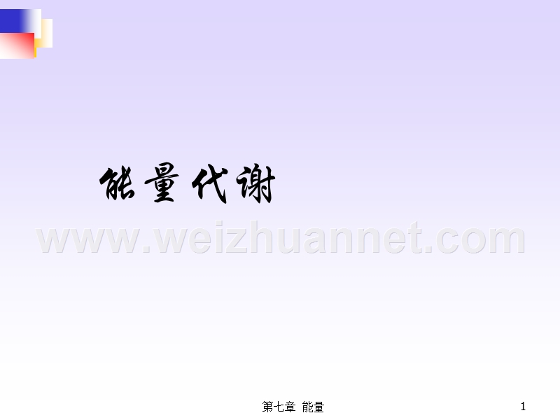 能量代谢.ppt_第1页