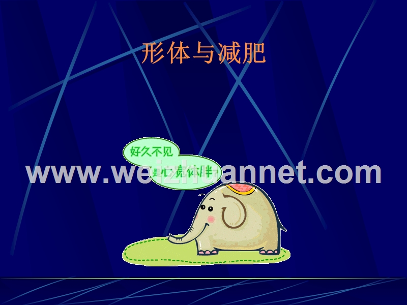 形体与减肥.ppt_第1页