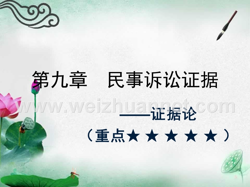 第九章--民事诉讼证据.ppt_第1页