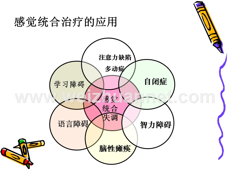 小儿感觉统合.ppt_第3页