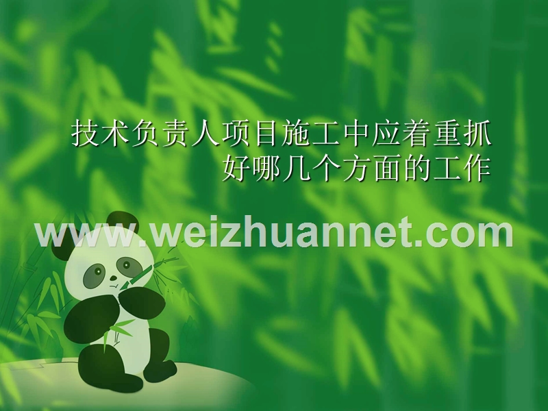 技术负责人在项目管理中应注意的几个问题.ppt_第1页