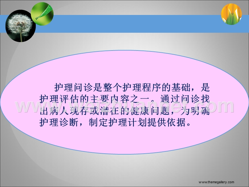 护理问诊.ppt_第2页