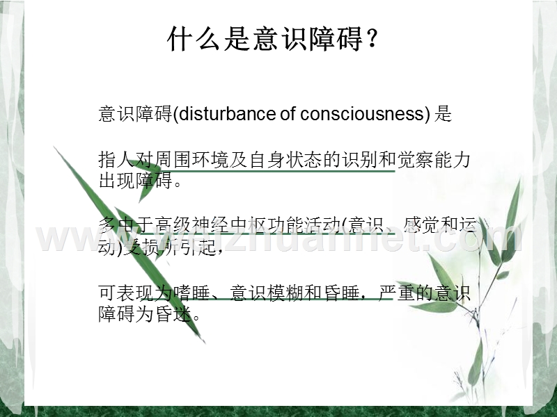 意识障碍及护理.ppt_第2页