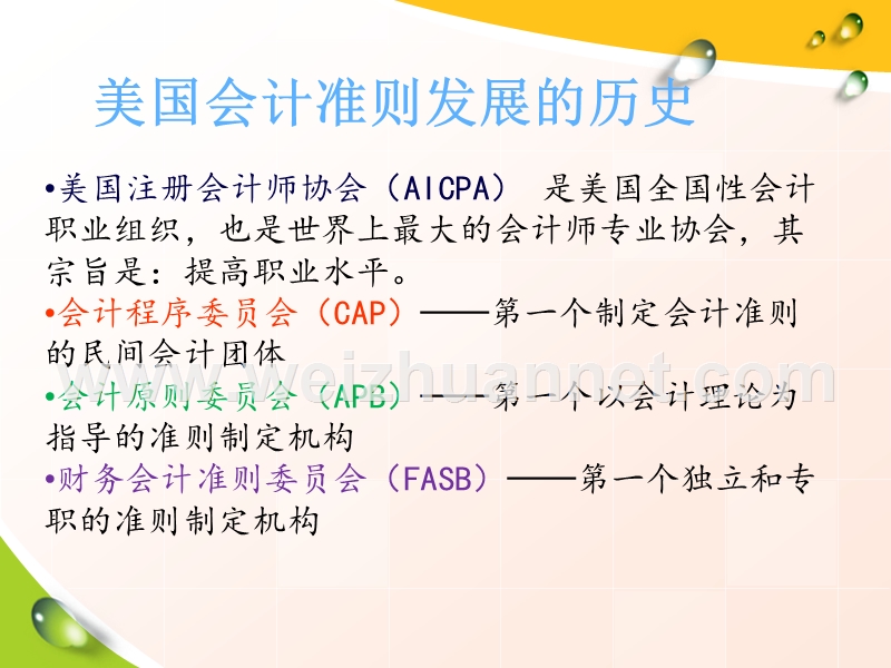 美国会计准则制定机构的演变.ppt_第2页